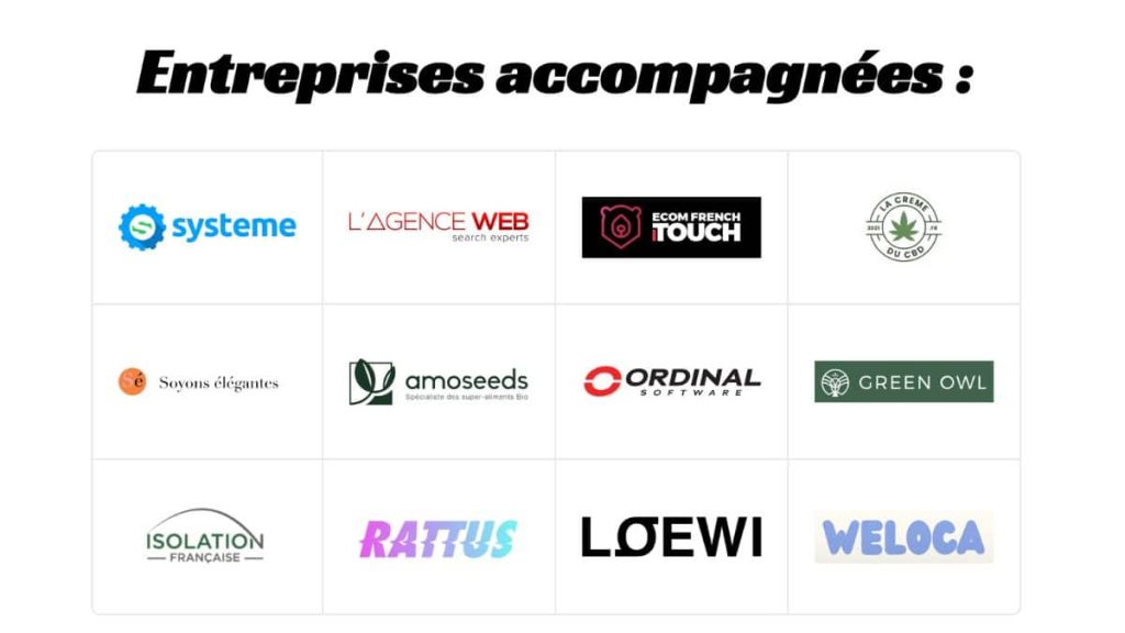 logos des entreprises accompagnées par Paul Vengeons consultant SEO incluant Systeme.io Amoseeds Ordinal Software et autres clients
